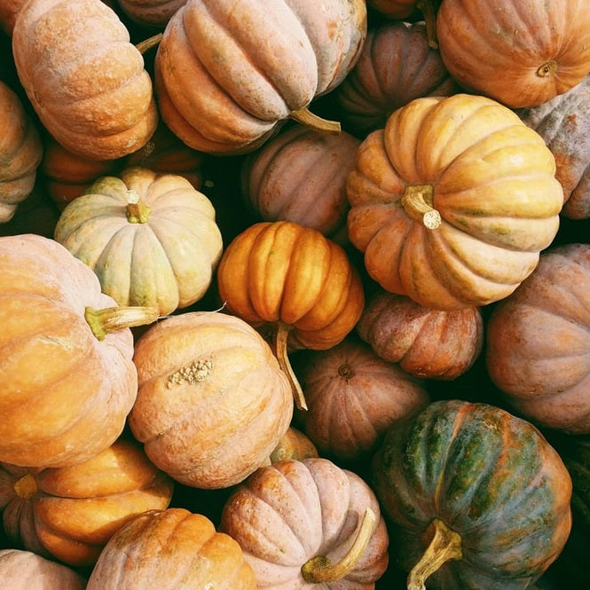 Decorating With Pumpkins: 5 DIY Fall Pumpkin Decor Ideas