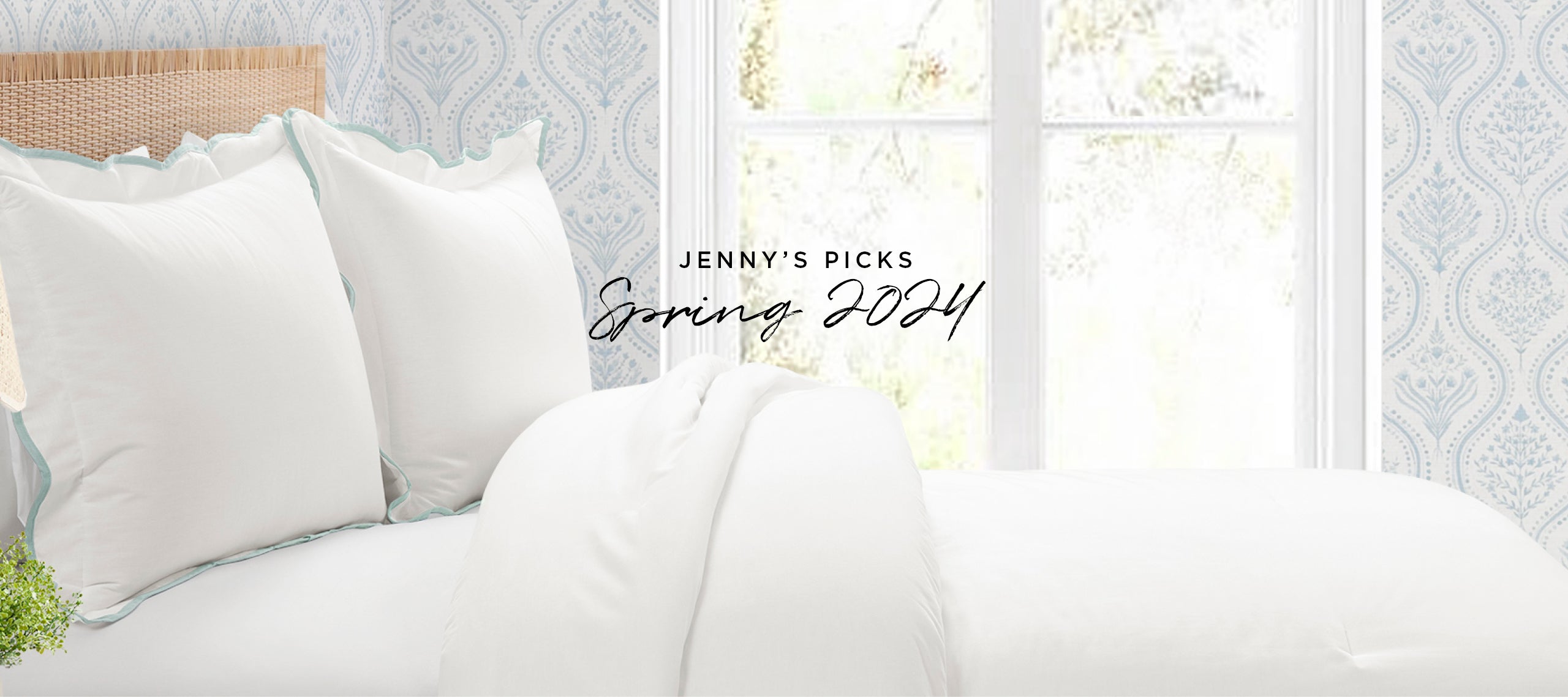 Jenny's Picks Spring 2024