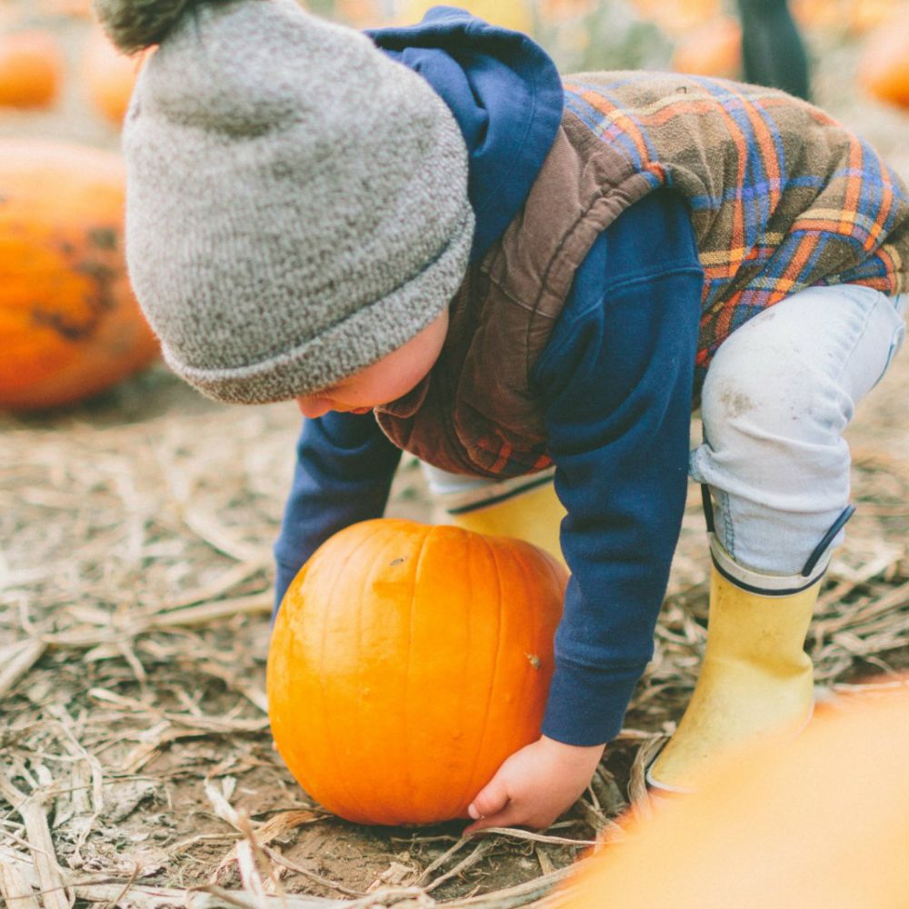 Fun Fall Activities For You and Your Baby or Toddler
