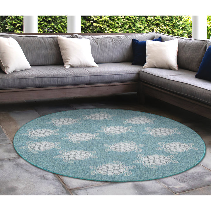 Aqua | 7'10" Round