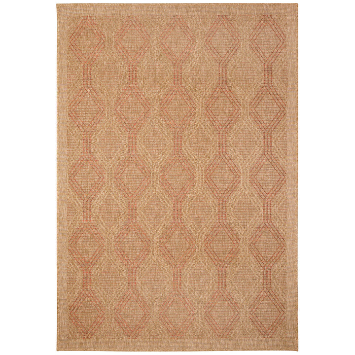 Terracotta | 3'3" x 4'11"