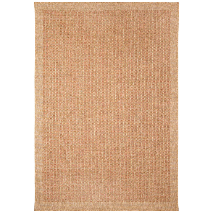 Sahara Texture Border Indoor Outdoor Area Rug