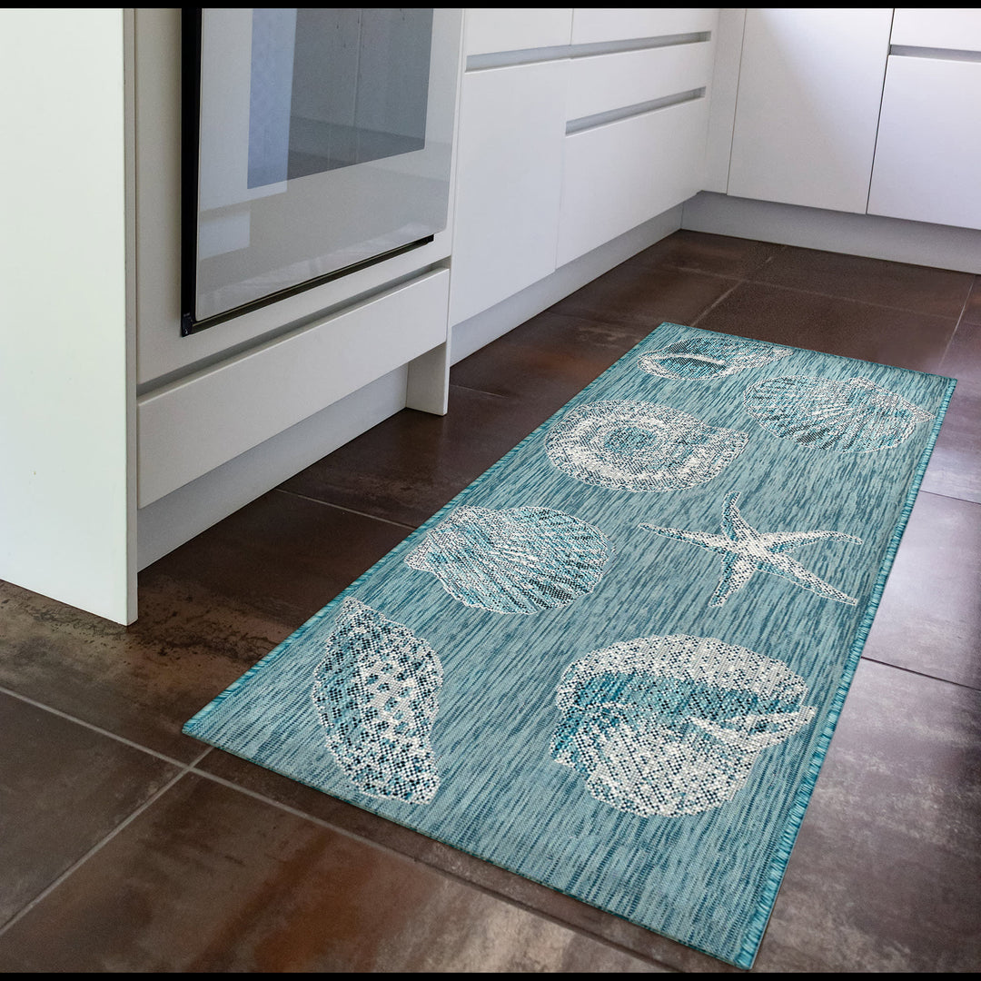 Aqua | 1'11" x 4'11"