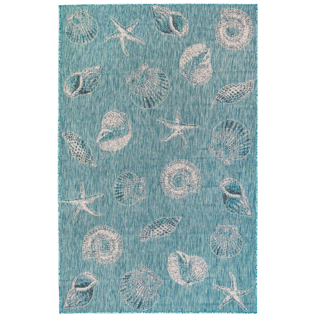 Aqua | 1'11" x 7'6"
