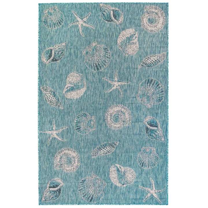 Aqua | 1'11" x 7'6"