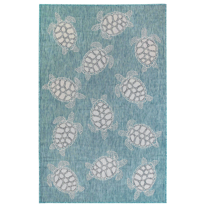 Aqua | 1'11" x 4'11"