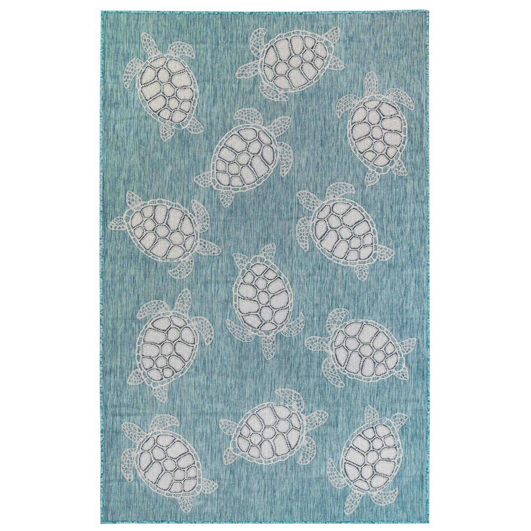 Aqua | 4'10" x 7'6"
