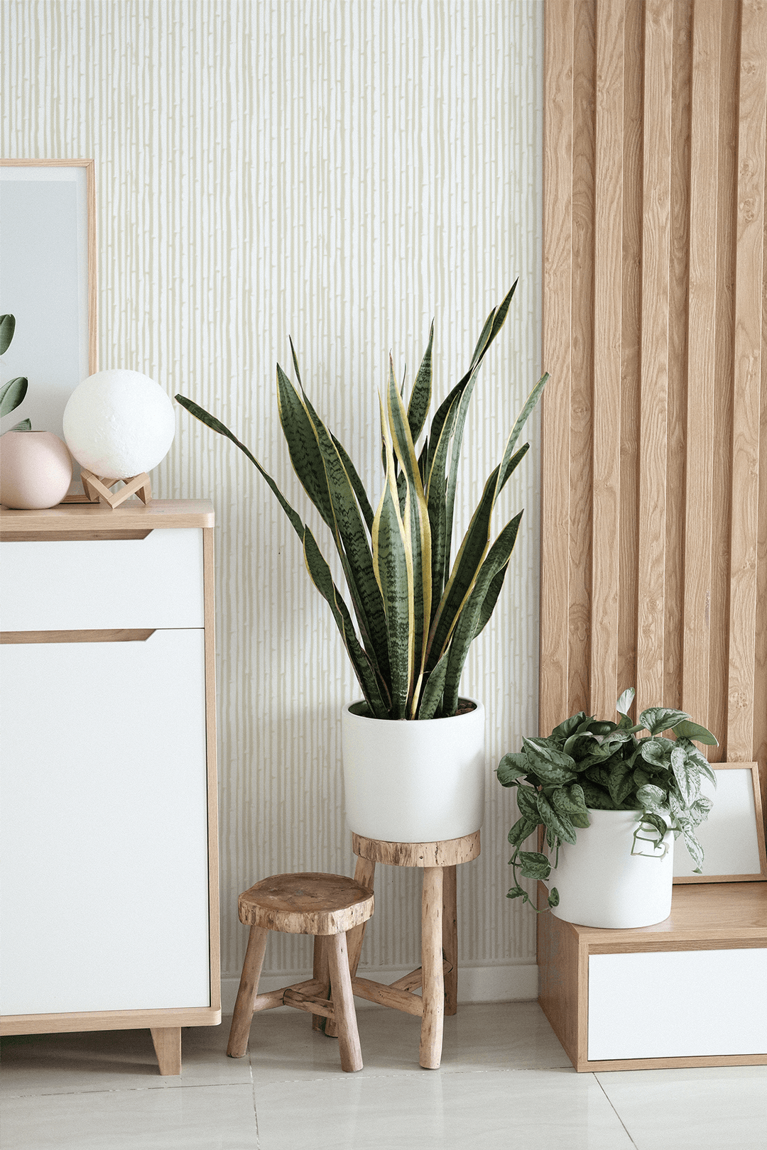 Bamboo in Bone Wallpaper by MUSE Wall Studio