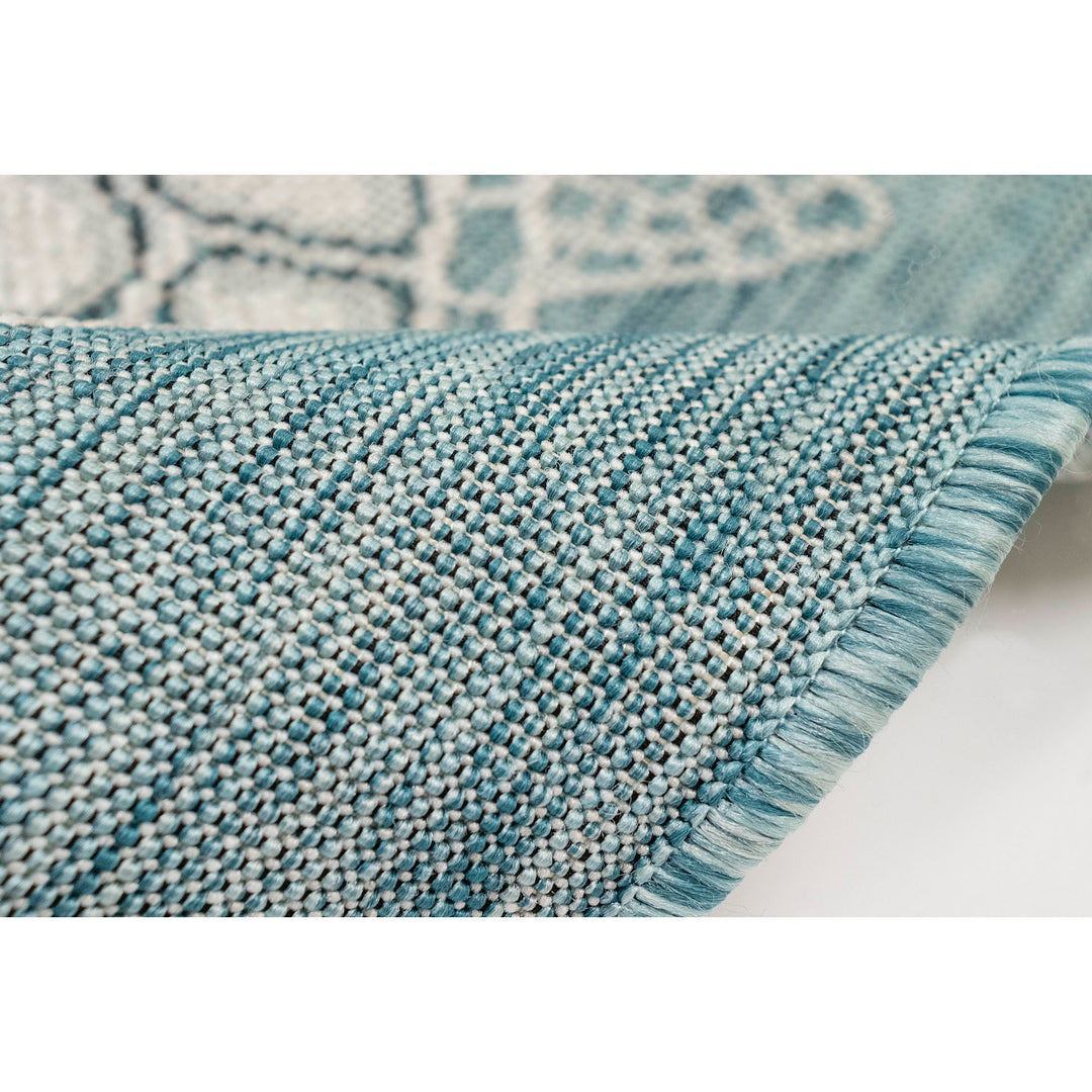 Aqua | 1'11" x 4'11"