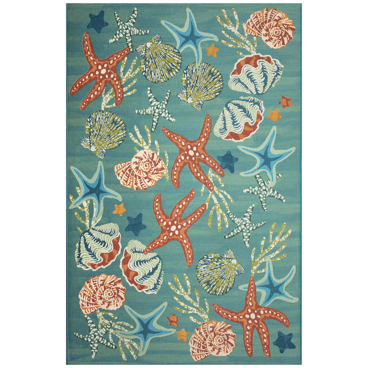 Aqua | 4'10" x 7'6"