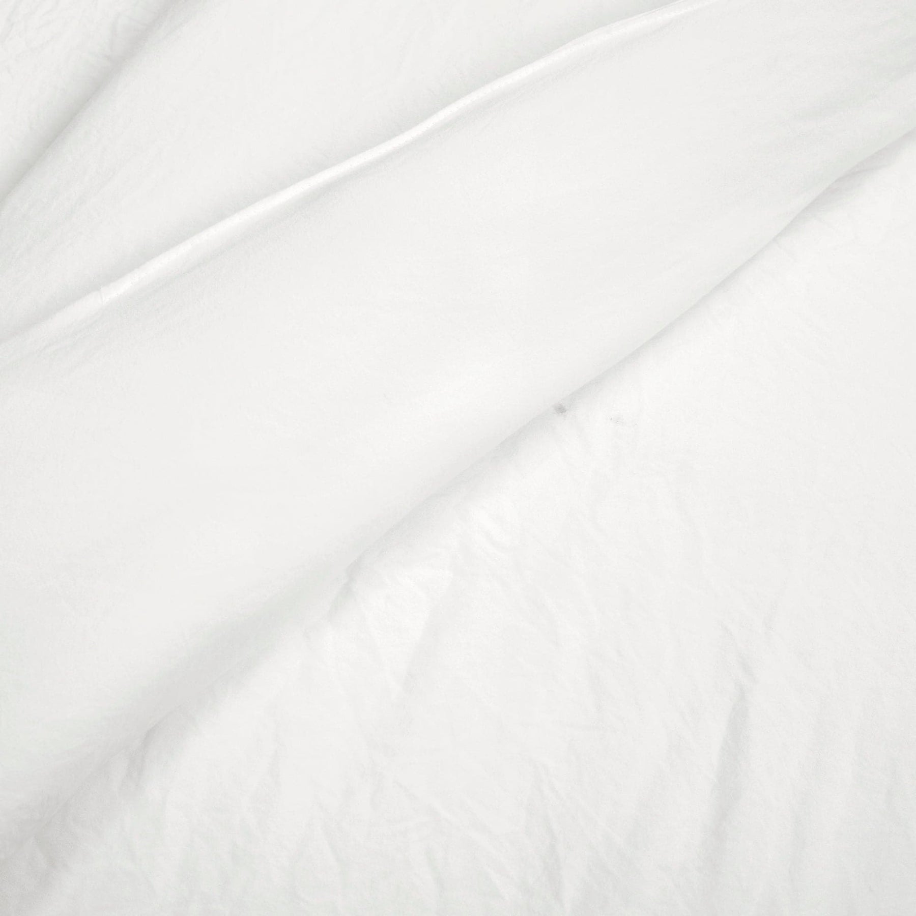 Reyna Comforter Set Back To Campus Dorm Room Bedding | Lush Decor | www ...