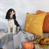 Pillow Bundle: Autumn Colors