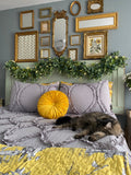DeeDee's Bundle: Riviera Bedspread + French Country Toile Throw + Velvet Round Pillow