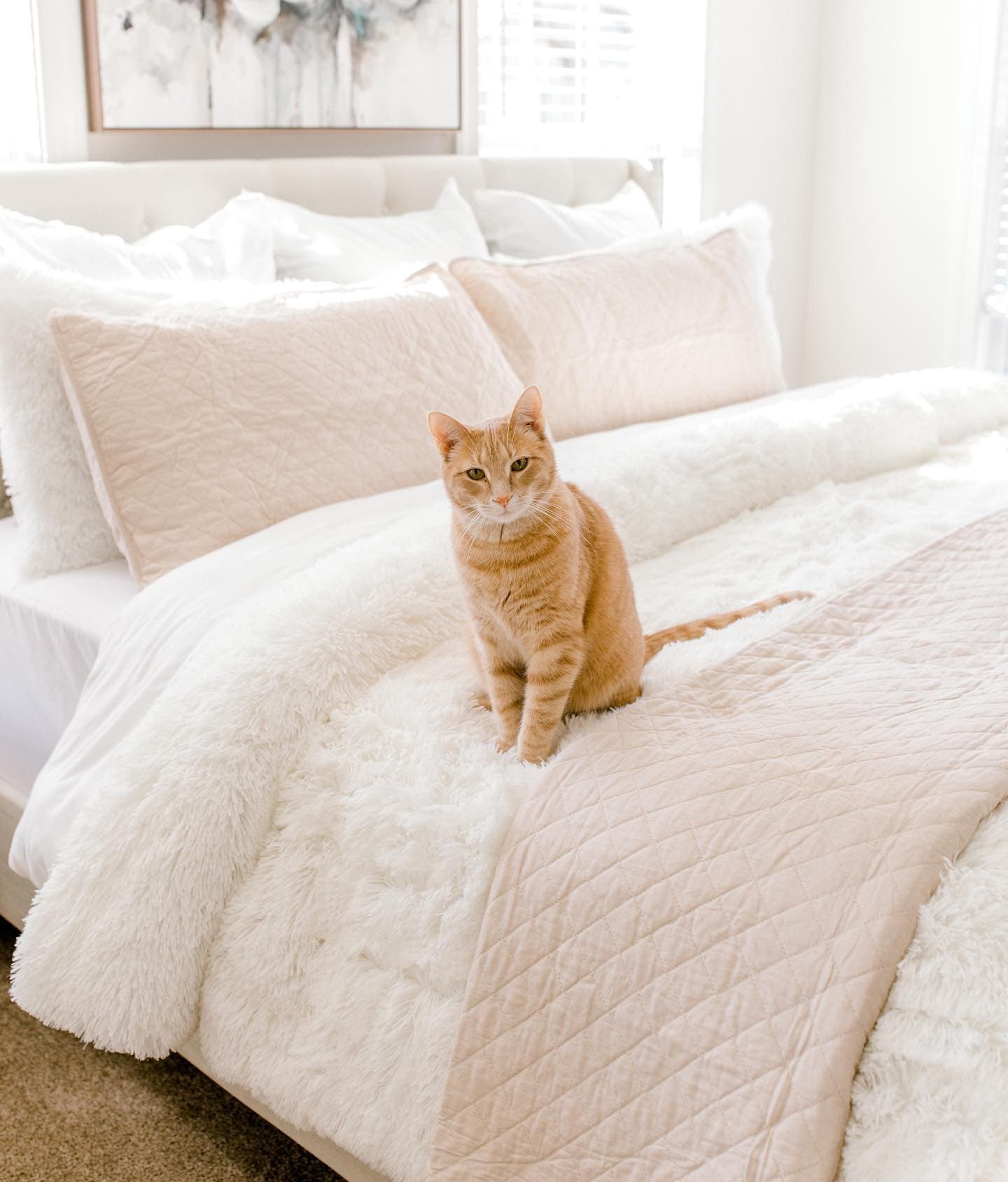Bedding Bundle: Emma Faux Fur Comforter Set + Ava Diamond Quilt Set